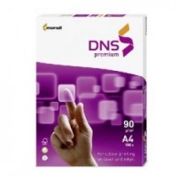 DNS  Premium | updirecto.es