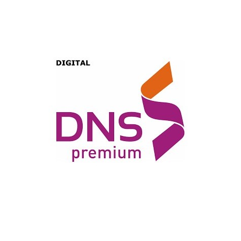 Papel DNS  Premium | updirecto.es