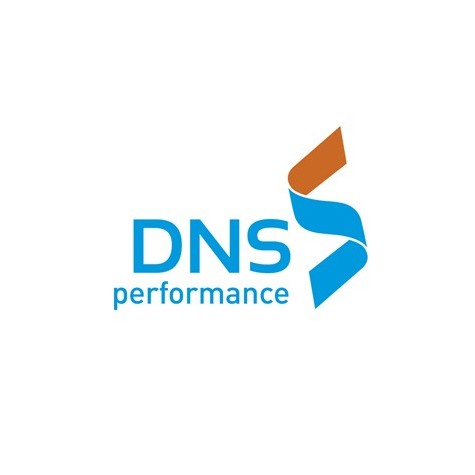 DNS Performance Preprint
