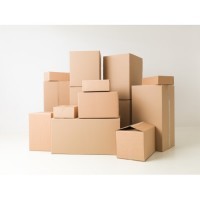 CAJAS DE CARTÓN