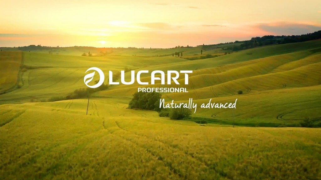 Unión Papelera con Lucart. Juntos hacia un futuro más sostenible