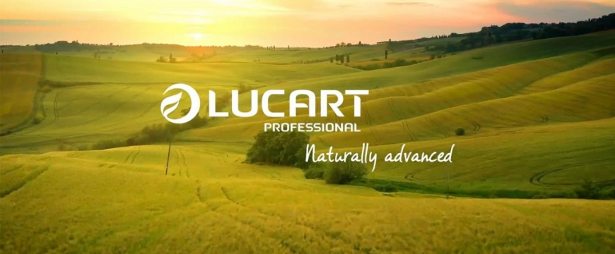 Unión Papelera con Lucart. Juntos hacia un futuro más sostenible