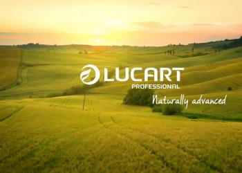 Unión Papelera con Lucart. Juntos hacia un futuro más sostenible